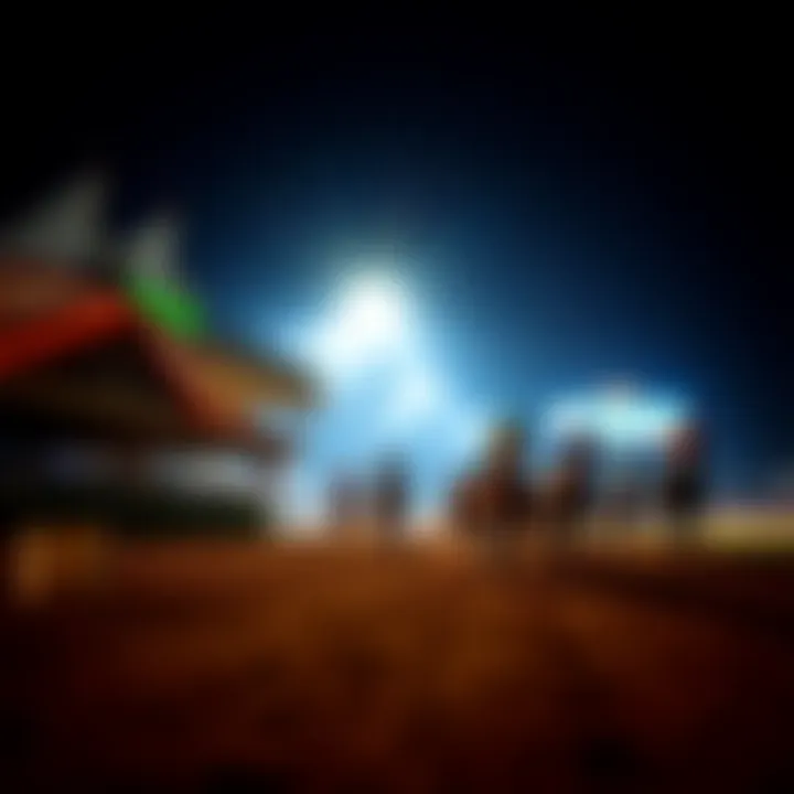 A visual representation of the excitement and thrill of horse racing