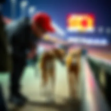 Expert Training Techniques A trainer coaching a greyhound before the race.